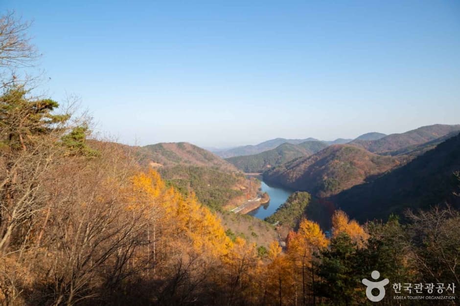 Jangtaesan Recreational Forest (μ₯νμ°μμ°ν΄μλ¦Ό) 2
