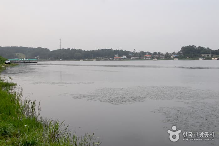 Bongjae Fishing Area (λ΄μ¬λμν°) 3