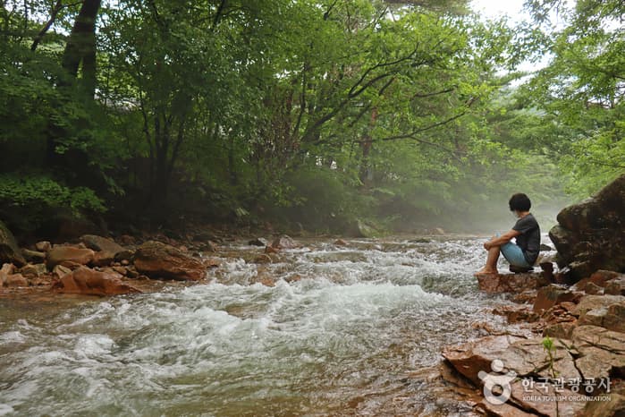 Mansugyegok Valley (만수계곡) 1