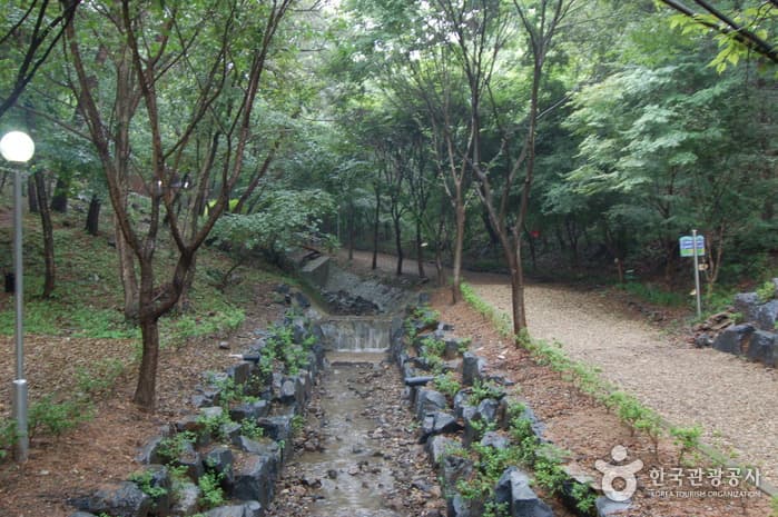 Chilgapsan Recreational Forest (칠갑산자연휴양림) 7