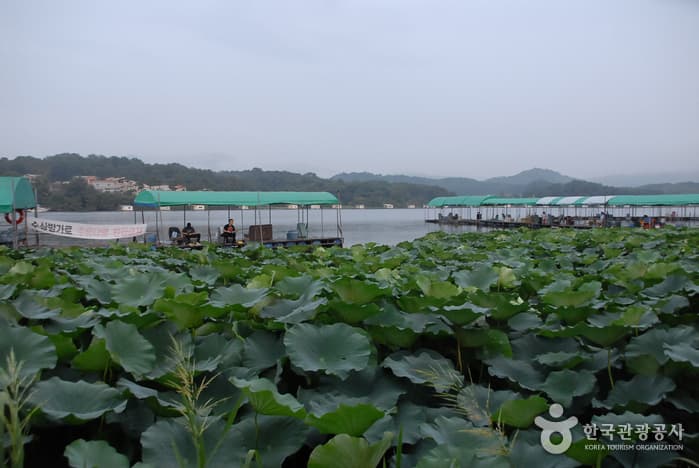 Bongjae Fishing Area (λ΄μ¬λμν°) 4