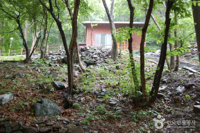 Chilgapsan Recreational Forest (칠갑산자연휴양림) 1
