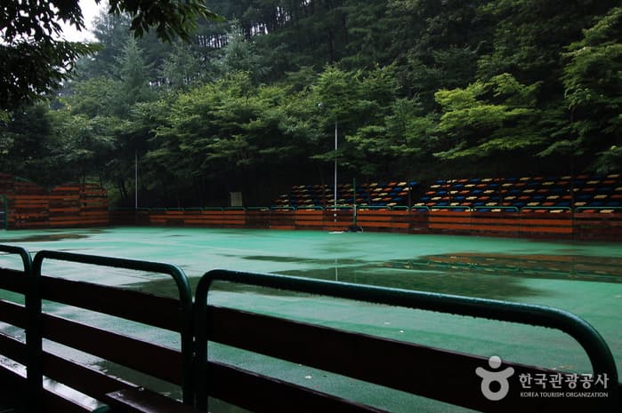 Chilgapsan Recreational Forest (칠갑산자연휴양림) 3