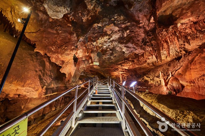Cheongok Golden Bat Cave (천곡황금박쥐동굴) 2