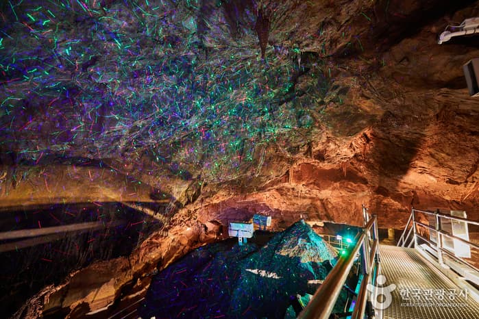 Cheongok Golden Bat Cave (천곡황금박쥐동굴) 3