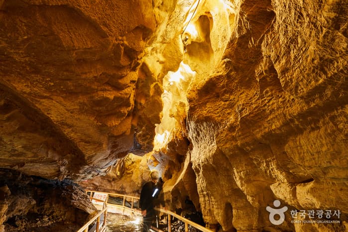 Cheongok Golden Bat Cave (천곡황금박쥐동굴) 4