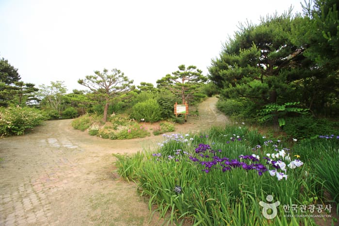 Ulsan Theme Botanic Gardens & Arboretum (μΈμ°ν
λ§μλ¬Όμλͺ©μ) 9