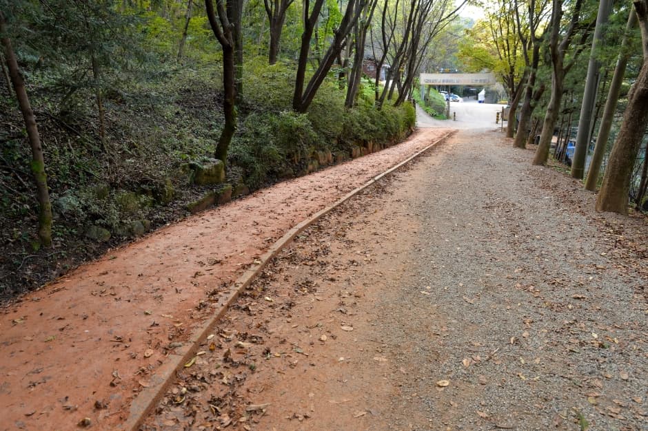 Jangdong Forest Park (์ฅ๋์ฐ๋ฆผ์์ฅ) 2