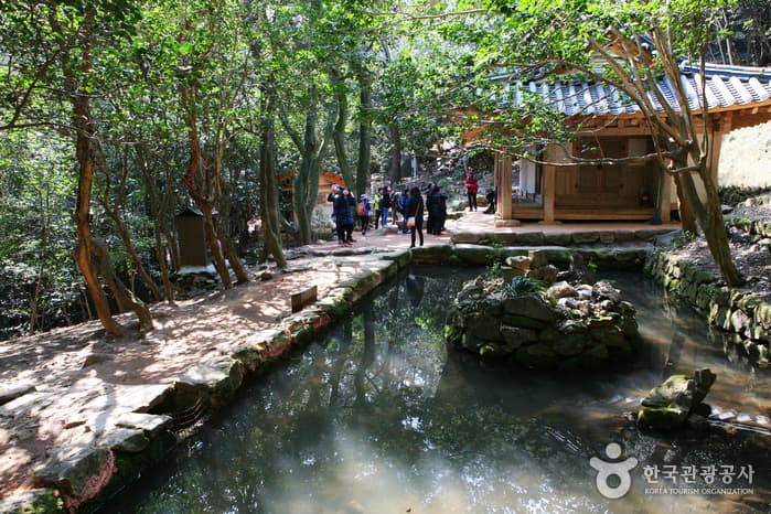 Dasan Chodang (Historic Site Related to Jeong Yak-yong) (๋ค์ฐ์ด๋น (๋ค์ฐ ์ ์ฝ์ฉ ์ ์ ์ง)) 9