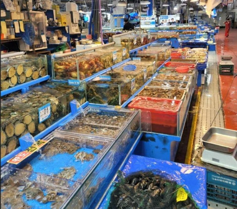 Suhyup Gangseo Seafood Wholesale Market (μν κ°μμμ°μμ₯) 4