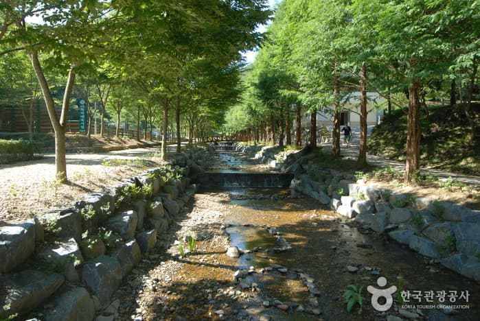 Chilgapsan Recreational Forest (칠갑산자연휴양림) 8