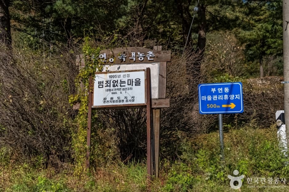 Buyeondong Village (λΆμ°λλ§μ) 9