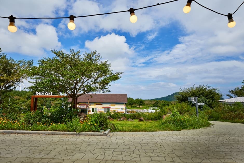 Jeju Horse Park (์กฐ๋๋ง์ฒดํ๊ณต์) 3