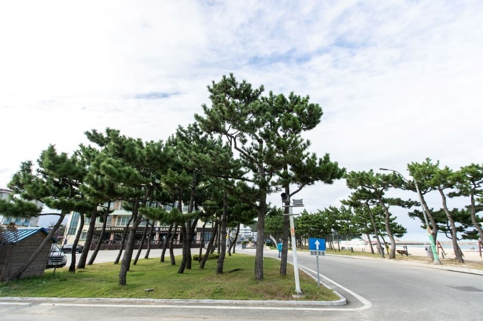 Naksan Beach (λμ°ν΄μμμ₯) 4