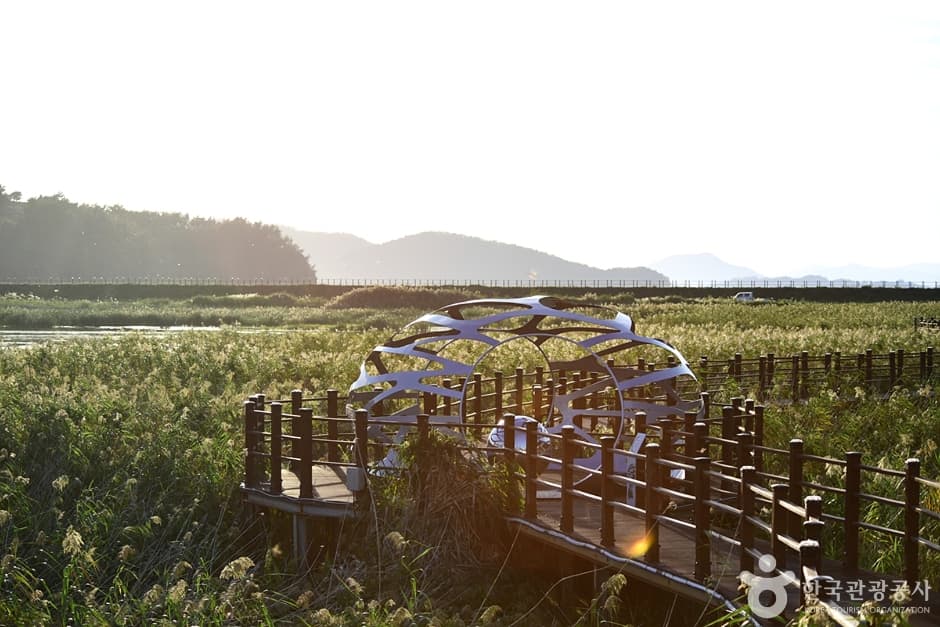 Yeosu Gasari Ecology Park (μ¬μ κ°μ¬λ¦¬ μν곡μ) 7