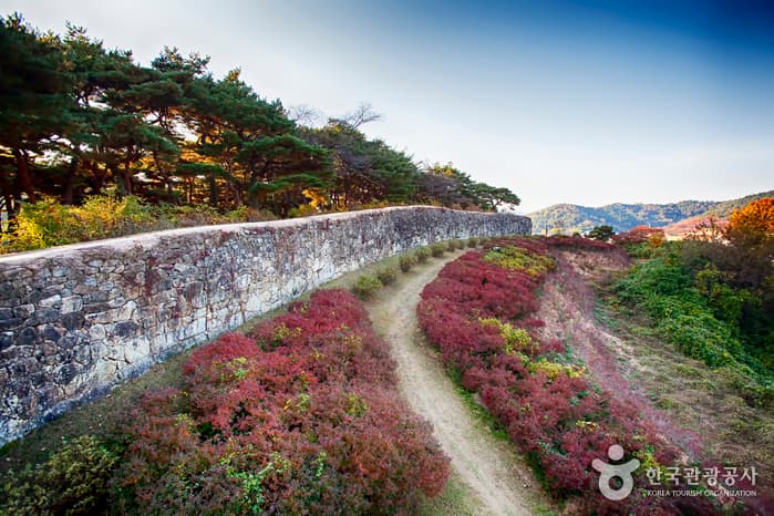 Gochangeupseong Walled Town (고창읍성) 9
