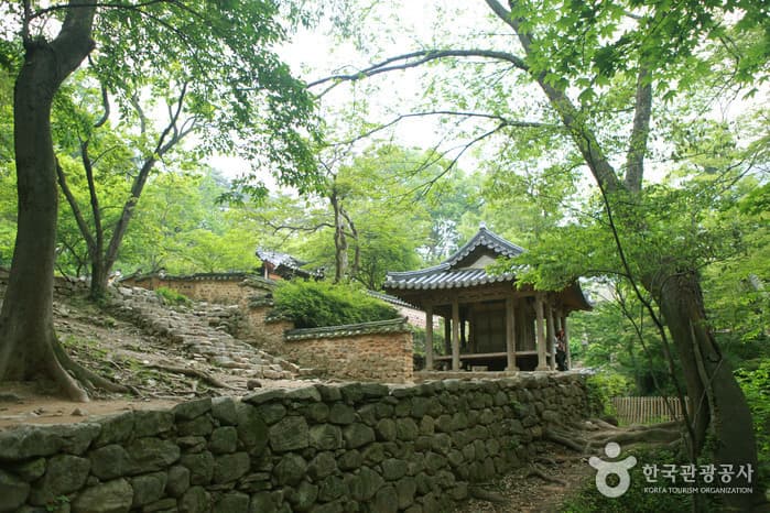 Soswaewon Garden (λ΄μ μμμ) 8