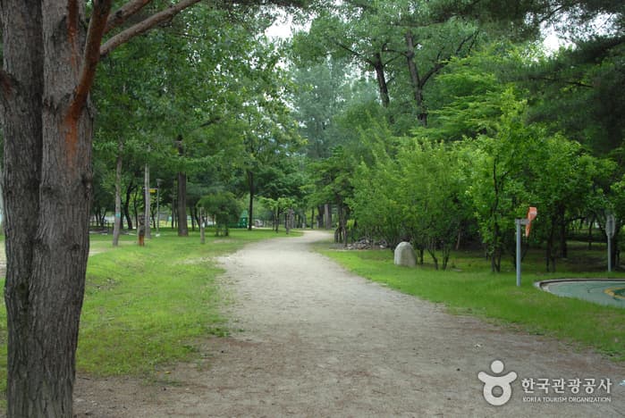 Bungeoseom Island (붕어섬) 3