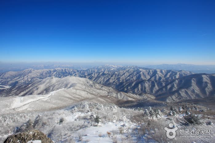 Hyangjeokbong Peak (Deogyusan Mountain) (ν₯μ λ΄(λμ μ°)) 6