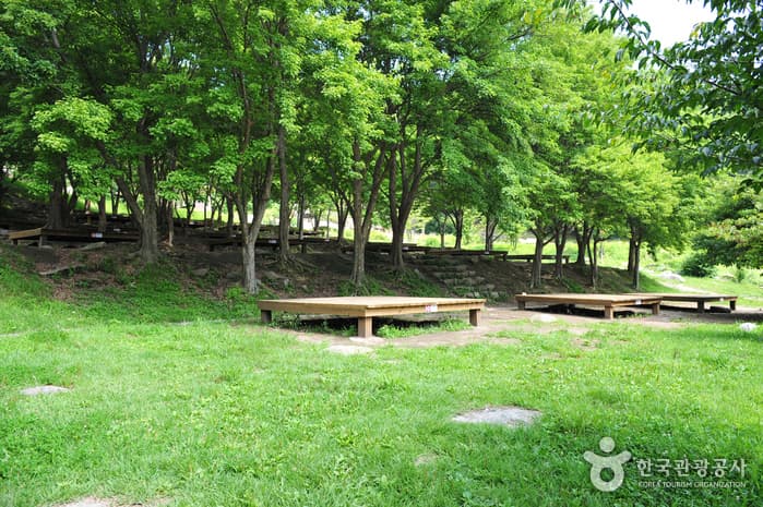 Hamheodongcheon Campground (ν¨νλμ²μΌμμ₯) 2