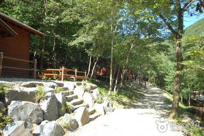 Chilgapsan Recreational Forest (칠갑산자연휴양림) 5