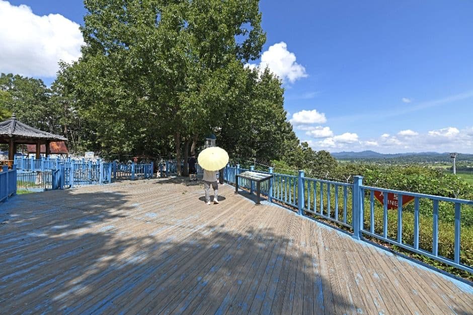 Paju Imjingak Peace Gondola (DMZ Peace Gondola) (ํ์ฃผ ์์ง๊ฐํํ๊ณค๋๋ผ(ํ์ฃผ DMZ ๊ณค๋๋ผ)) 9