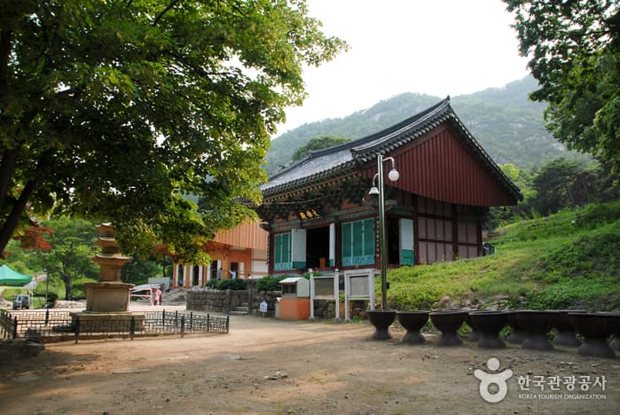 Yeongdong Yeongguksa Temple (์๊ตญ์ฌ (์๋)) 9