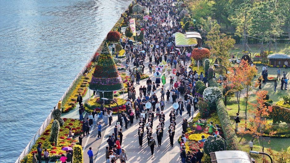 Masan Gagopa Chrysanthemum Festival (마산가고파국화축제) 4