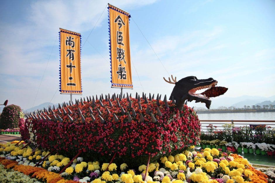 Masan Gagopa Chrysanthemum Festival (마산가고파국화축제) 5