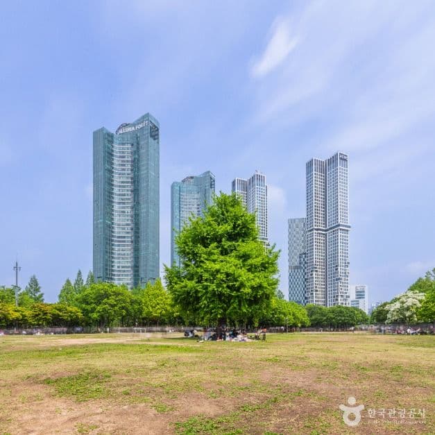 Seoul Forest (์์ธ์ฒ) 1