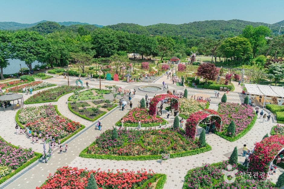 Seoul Grand Park (μμΈλ곡μ) 4
