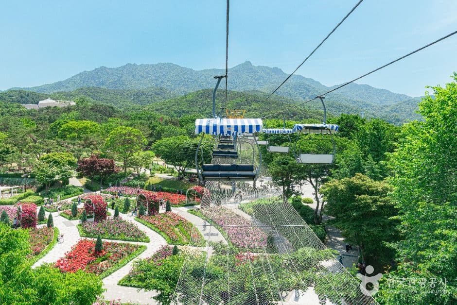 Seoul Grand Park (μμΈλ곡μ) 5