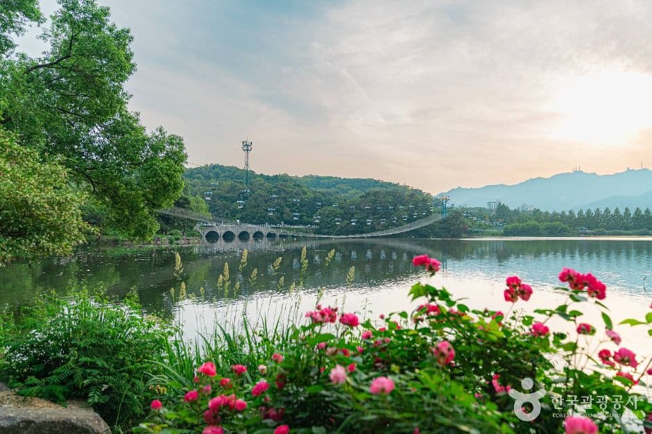 Seoul Grand Park (μμΈλ곡μ) 7