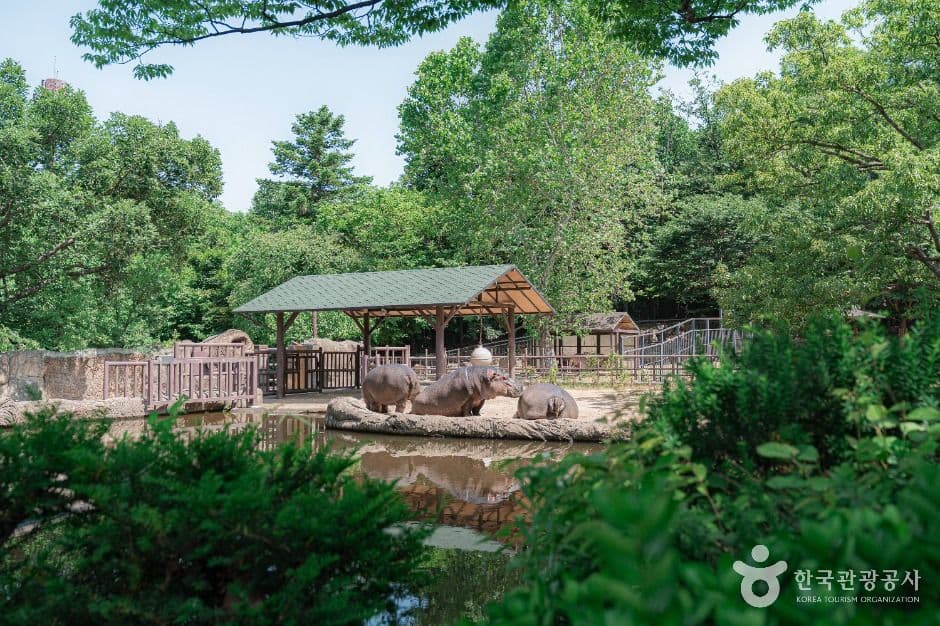 Seoul Grand Park (μμΈλ곡μ) 3