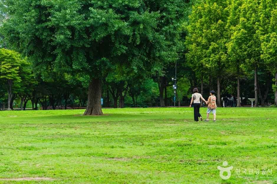 Seoul Forest (์์ธ์ฒ) 2