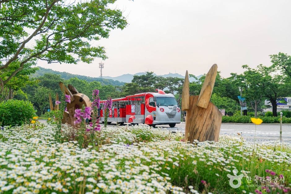 Seoul Grand Park (μμΈλ곡μ) 9