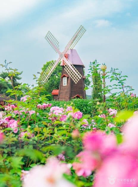 Seoul Grand Park (μμΈλ곡μ) 1